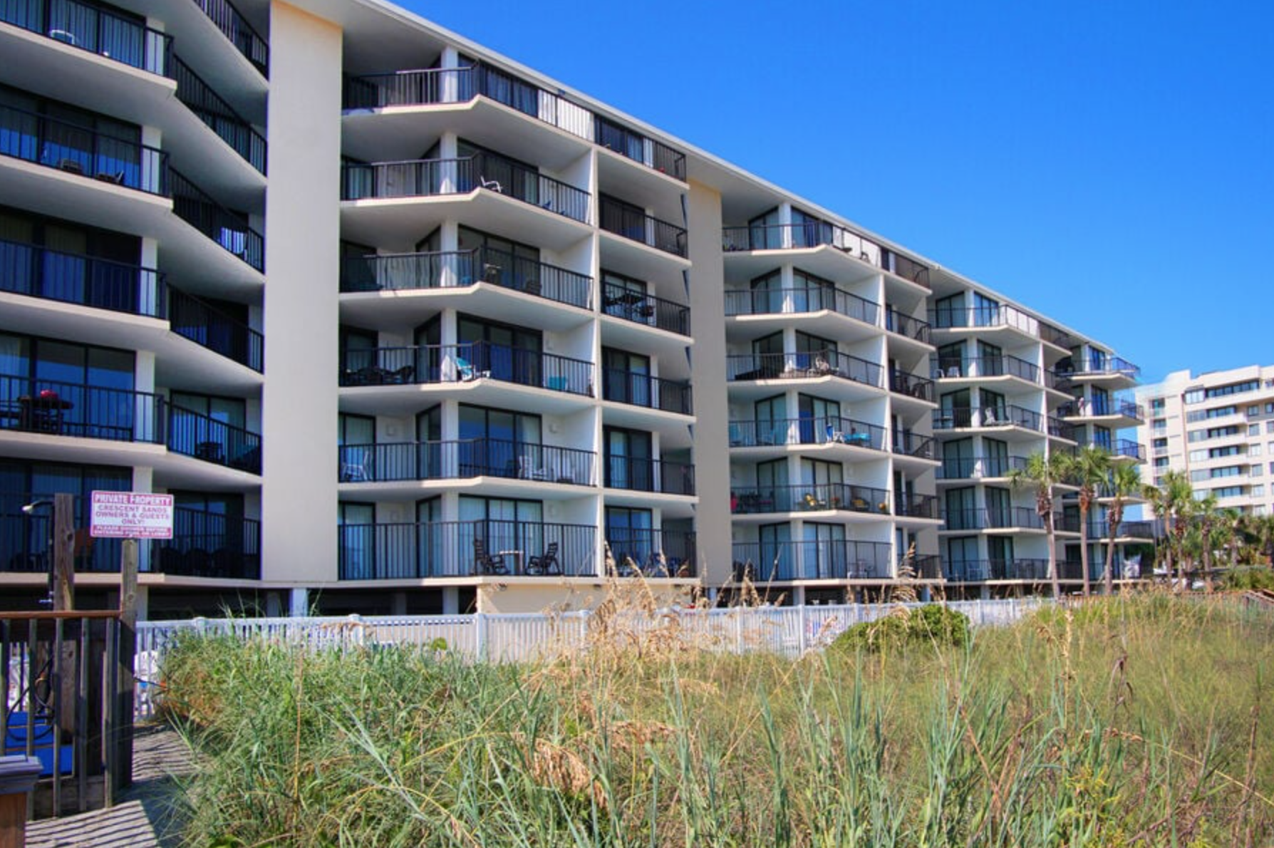 Screen Shot 2024-11-13 at 9.13.43 PM